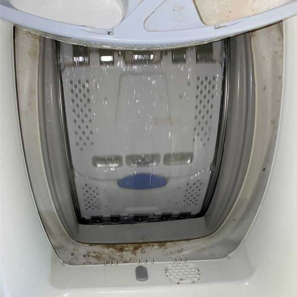 Zanussi ZWY60904SA 門膠邊除霉前